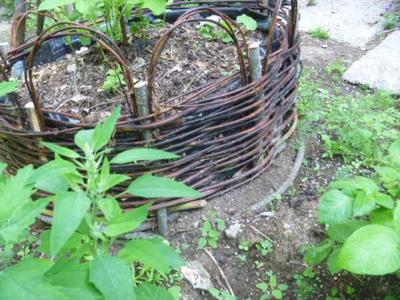 Coracle Bed made out of willow