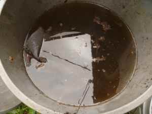 Make Compost Tea in a garbage can