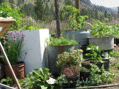 Recycled Washing Machines made into garden bed