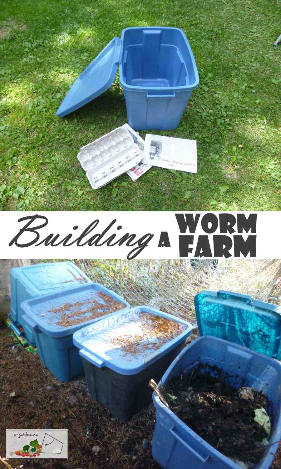 building a worm farm; simple tutorial for starting a red worm bin
