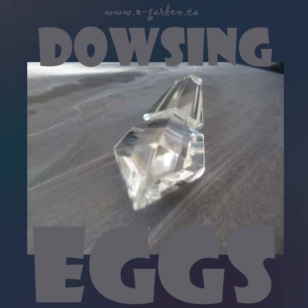 Dowsing Eggs - find out what gender they are...