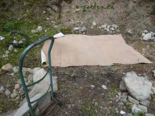 Recycling old carpet in the hay bale garden - the perfect reuse