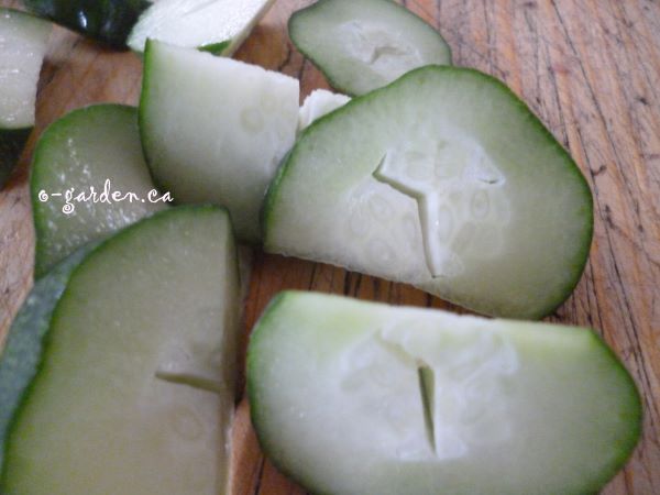 Cucumbers get hollow heart from uneven moisture