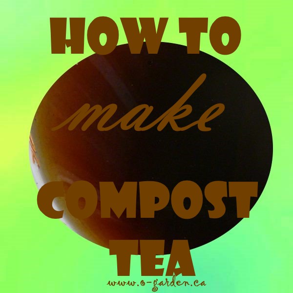 How to Make Compost Tea...