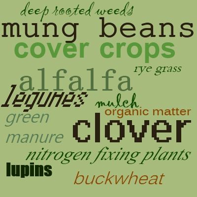 all kinds of cover crops...