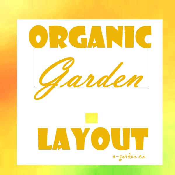 Organic Vegetable Garden Layout