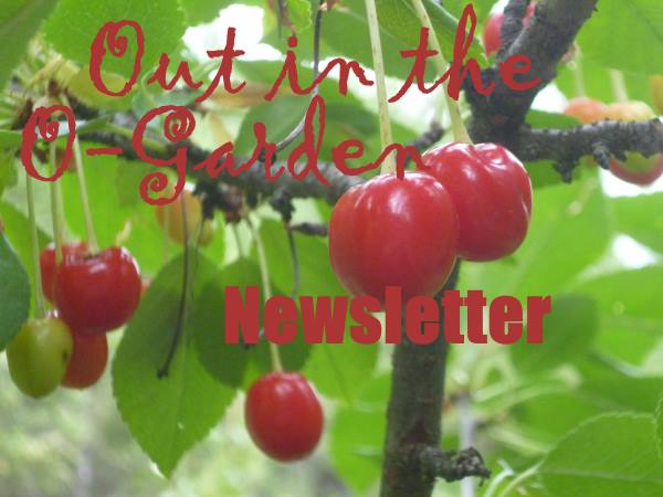 Sign up for Out In The O-Garden Newsletter here...