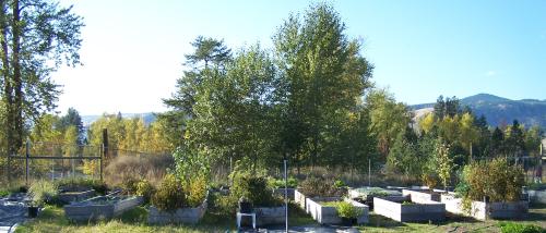 Hannekes Place Community Garden Grand Forks B.C