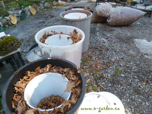 Lined up in a row, ready for duty, the winter composting system is ready