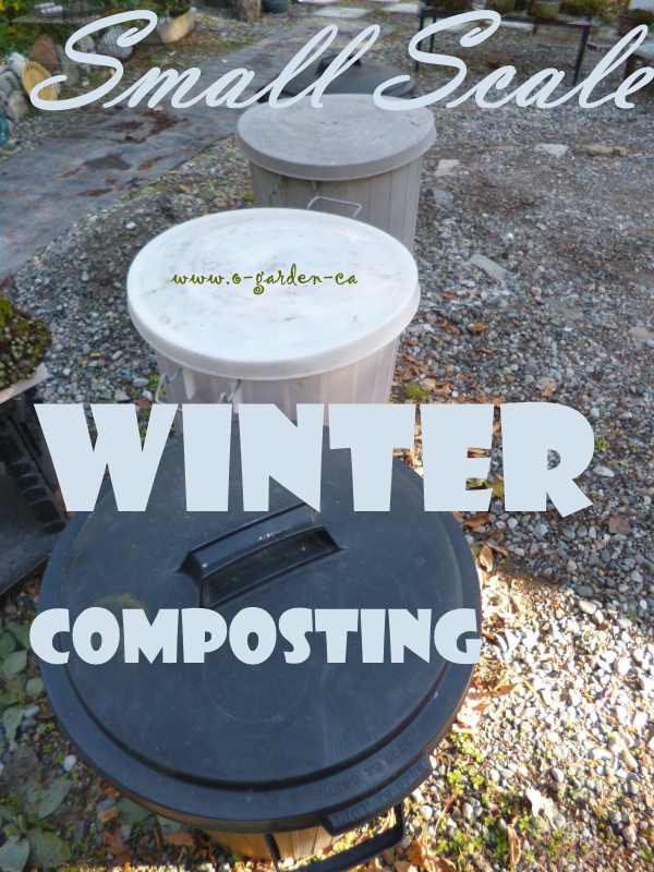 Small Scale Winter Composting