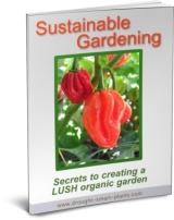 Buy the Sustainable Gardening E-Book