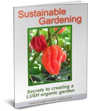 Sustainable Gardening