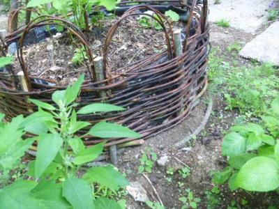 Coracle Bed made out of willow