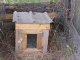 Chicken broody boxes make a safe place for your hens to hatch eggs...