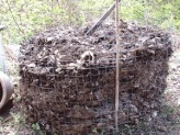 Wire bin compost pile, aging nicely