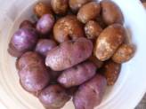 How to Grow Spuds...