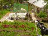 Methods of Organic Farming